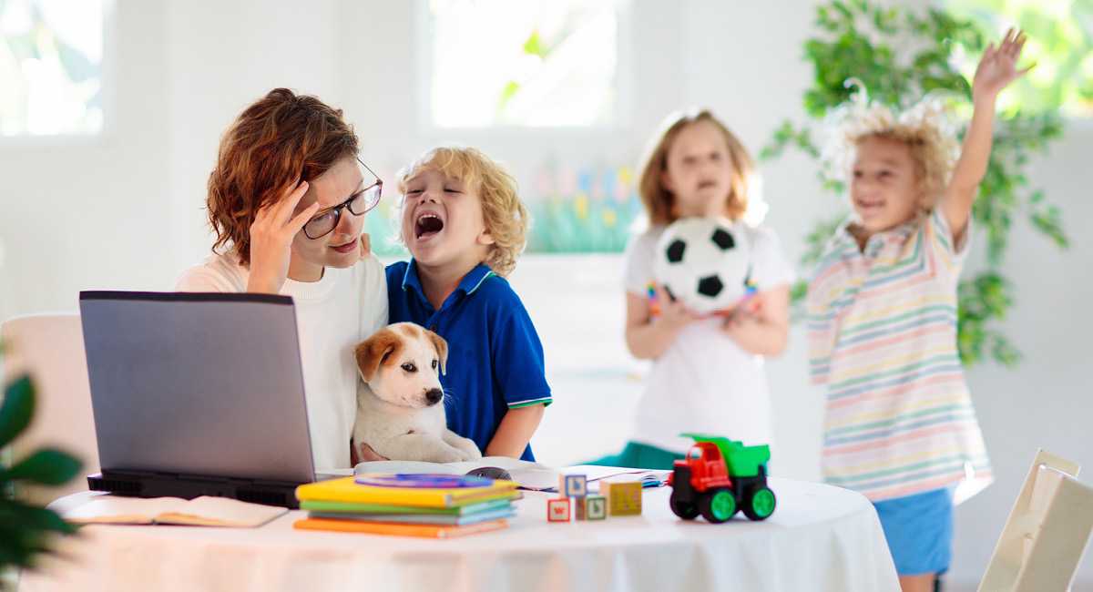 三代试管医院排名及助孕费用指南