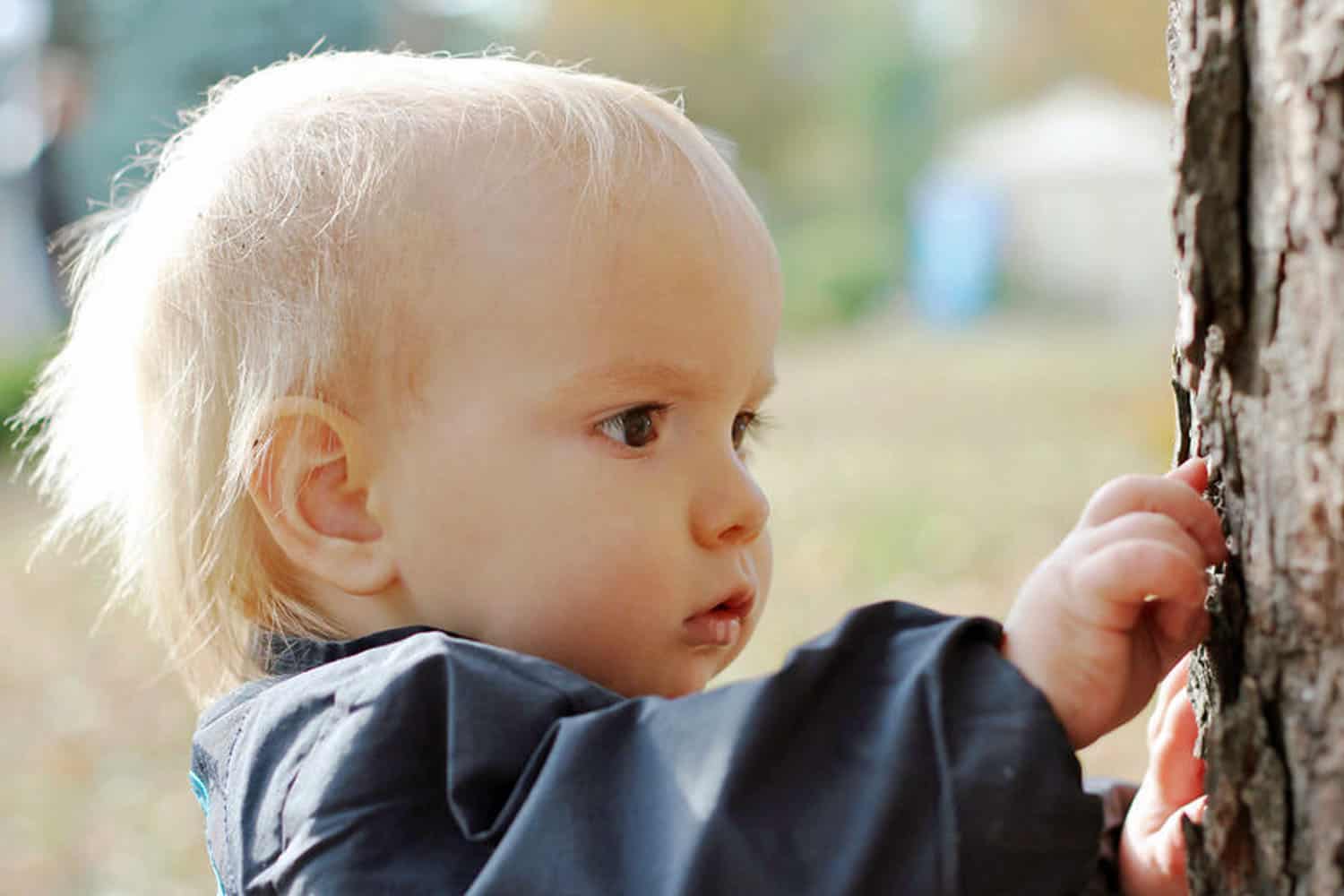 俄罗斯助孕公立代生包成功费用明细与流程解析