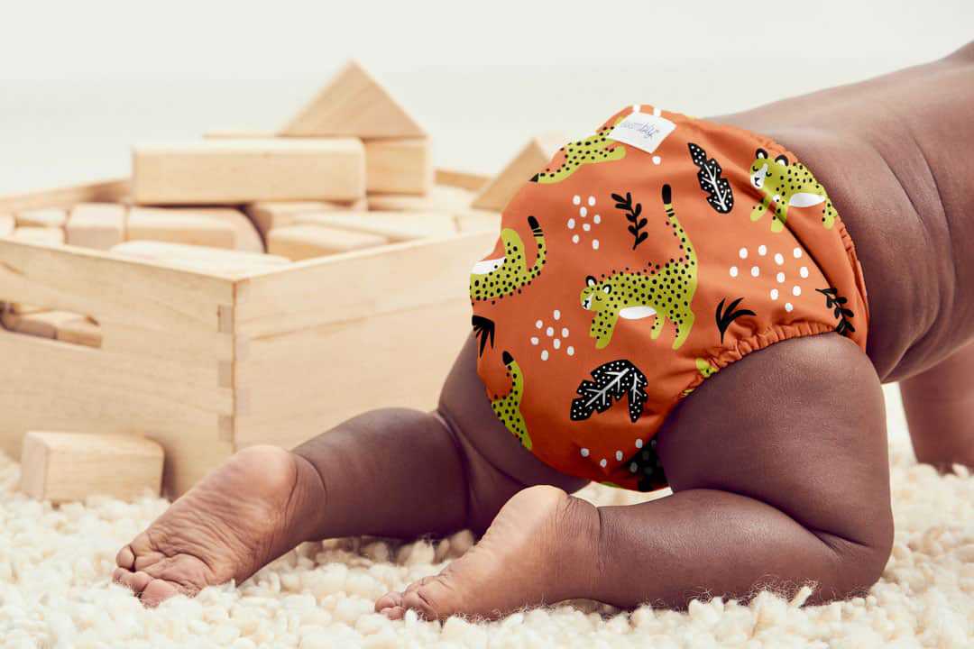 移植时打着床针的功效与使用指南